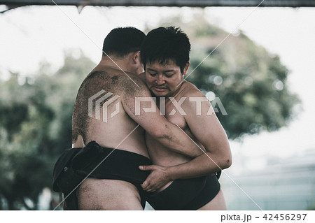 Sumo wrestling 42456297