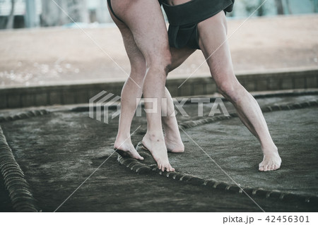 Sumo wrestling Sumo wrestling 42456301