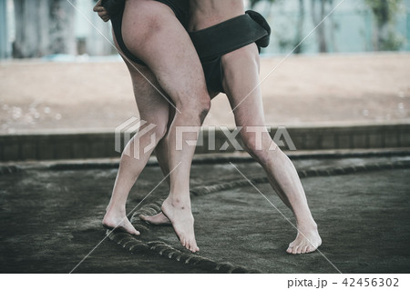 Sumo wrestling Sumo wrestling 42456302