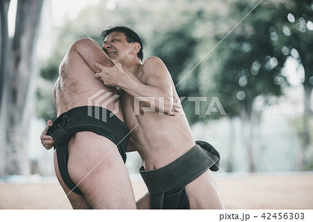 Sumo wrestling 42456303