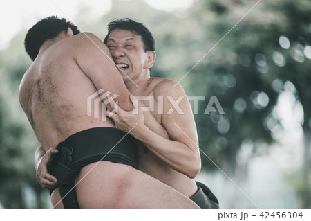 Sumo wrestling 42456304