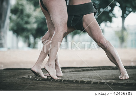 Sumo wrestling Sumo wrestling 42456305