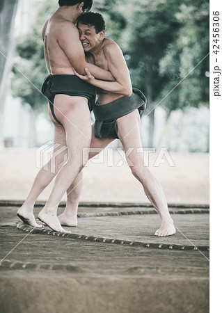Sumo wrestling Sumo wrestling 42456306