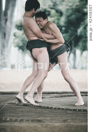 Sumo wrestling 42456307