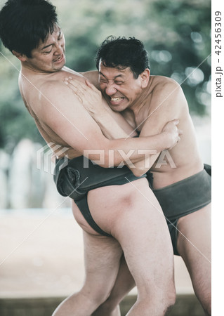 Sumo wrestling Sumo wrestling 42456309