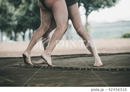 Sumo wrestling Sumo wrestling 42456310