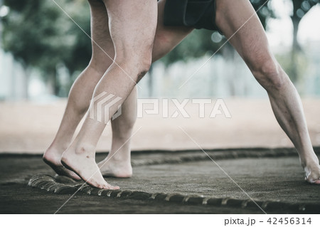 Sumo wrestling 42456314