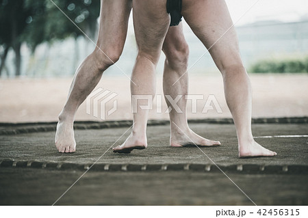 Sumo wrestling 42456315