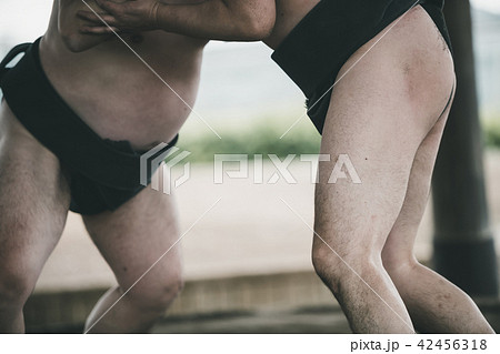 Sumo wrestling 42456318