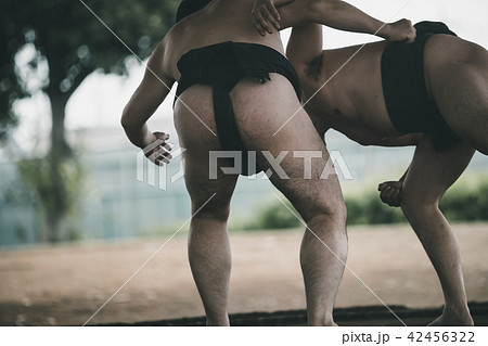 Sumo wrestling Sumo wrestling 42456322