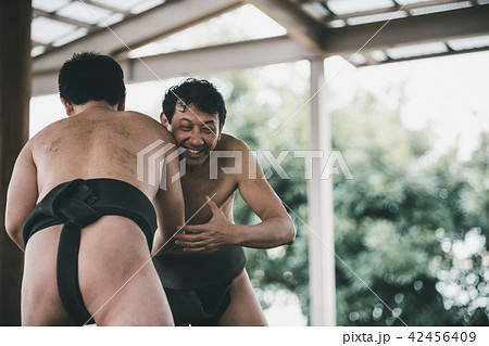 Sumo wrestling 42456409