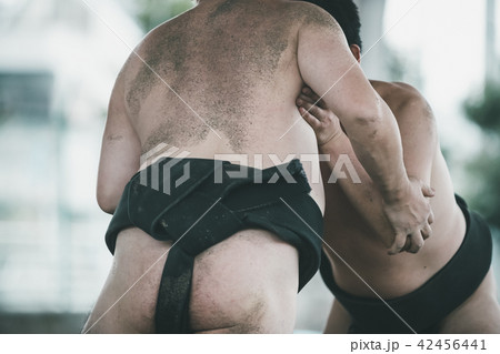 Sumo wrestling Sumo wrestling 42456441