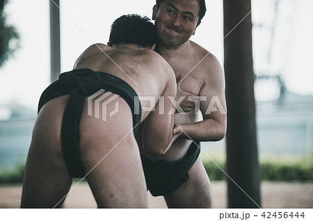 Sumo wrestling 42456444