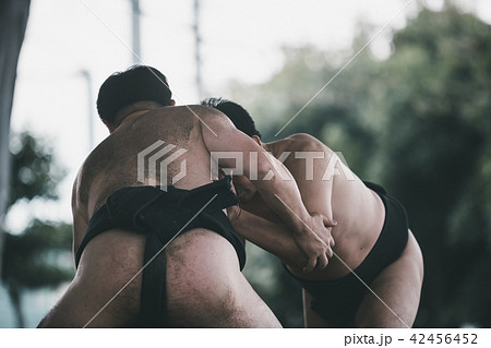 Sumo wrestling Sumo wrestling 42456452
