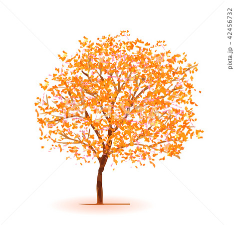 紅葉 葉 木 アイコン のイラスト素材