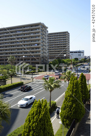 よこすか海岸通り よこすか海岸通り 42457010