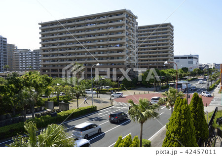 よこすか海岸通り よこすか海岸通り 42457011