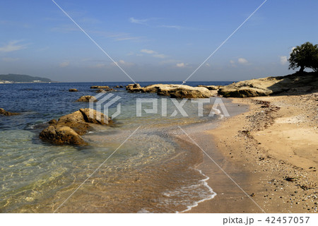 早春の海 早春の海 42457057