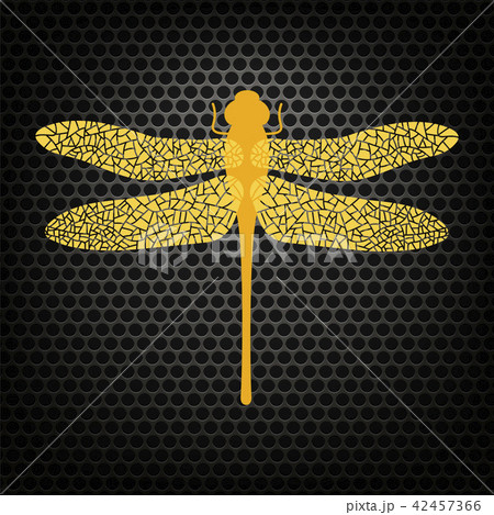 Colored Stilized Dragonfly. Insect Logo Design Colored Stilized Dragonfly. Insect Logo Design 42457366