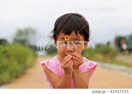 花を見つめる2歳の女の子の写真素材