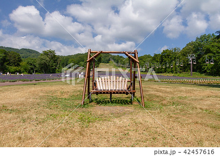たんばらラベンダーパークのブランコ たんばらラベンダーパークのブランコ 42457616