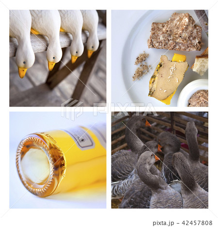 Foie gras 42457808