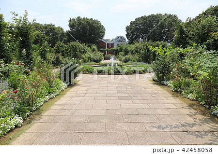 港の見える丘公園 港の見える丘公園 42458058