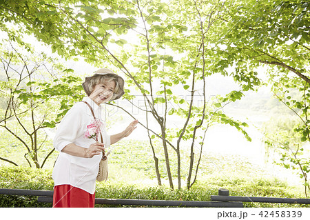 公園 高齢者 老人 42458339