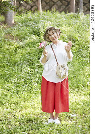 公園 高齢者 老人 42458395