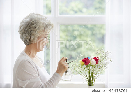 花瓶 高齢者 老人 42458761