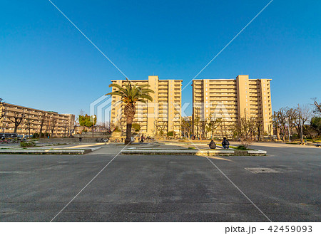 東大阪市 鴻池 寺島公園 東大阪市 鴻池 寺島公園 42459093