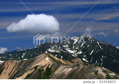 北アルプス水晶岳（黒岳）山頂からの山々　立山連峰、剣岳、龍王岳、浄土山遠景 42459855