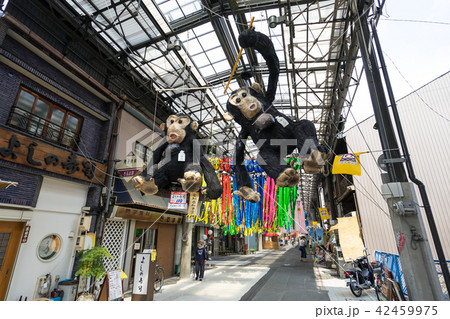 名古屋市西区　円頓寺商店街　七夕祭り　 42459975