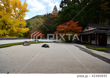 青梅市御岳渓谷の秋は 玉堂美術館 青梅市御岳渓谷の秋は 玉堂美術館 42460695