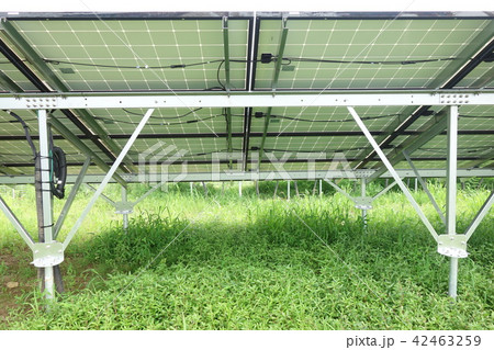 太陽光発電所 太陽光発電所 42463259
