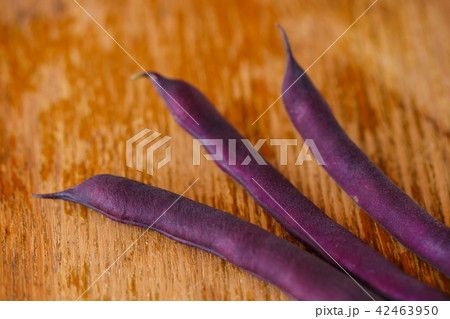 紫色のサヤインゲン 42463950