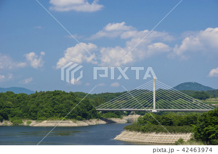 三春ダムと春田大橋 三春ダムと春田大橋 42463974