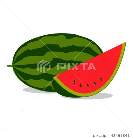 watermelon, vector illustration. 42465841