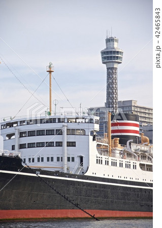 横浜山下公園 42465843