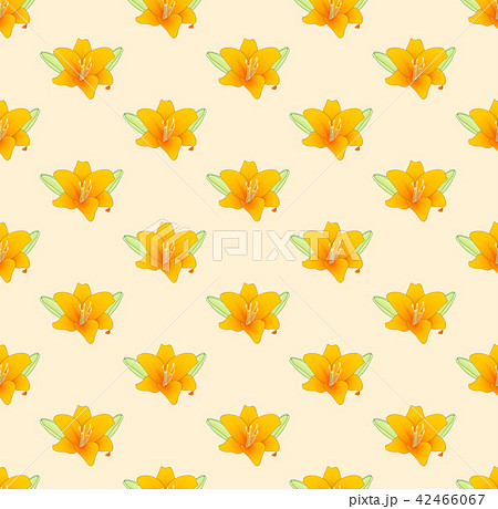 Orange Lily on Beige Ivory Background 42466067