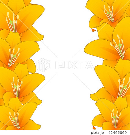 Orange Lily Border 42466069