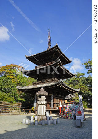石手寺 愛媛県 石手寺 愛媛県 42466382