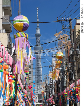 東京都　下町七夕まつり 42466632