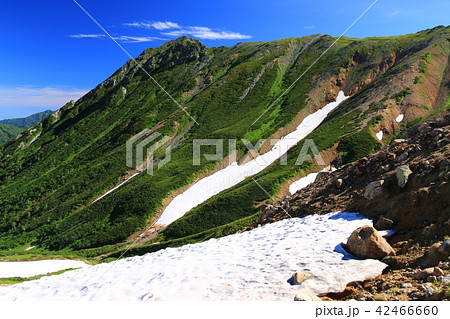 北アルプス　水晶岳山頂への道 42466660