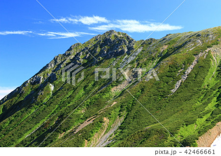北アルプス　水晶岳山頂への道 42466661