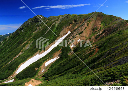 北アルプス　水晶岳山頂への道 42466663
