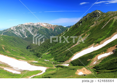 北アルプス　水晶岳山頂への道　薬師岳と岩苔小谷 42466664