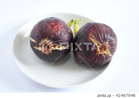 いちじく・無花果 いちじく・無花果 42467046