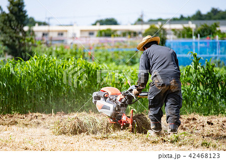 草刈り　夏　男性 42468123