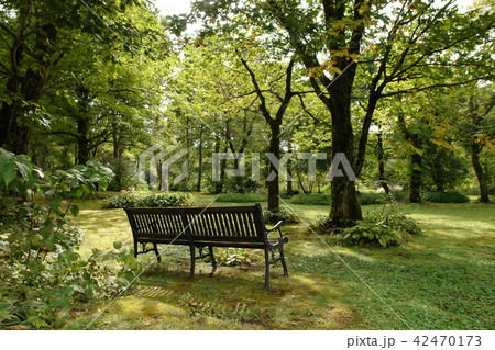 四季の散歩　秋　たじま高原植物園 42470173